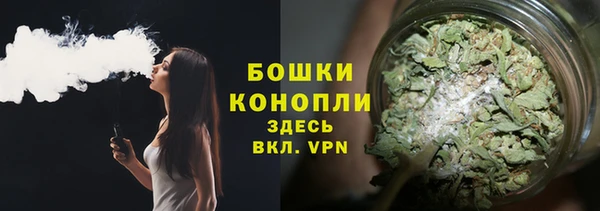 ешки Белокуриха