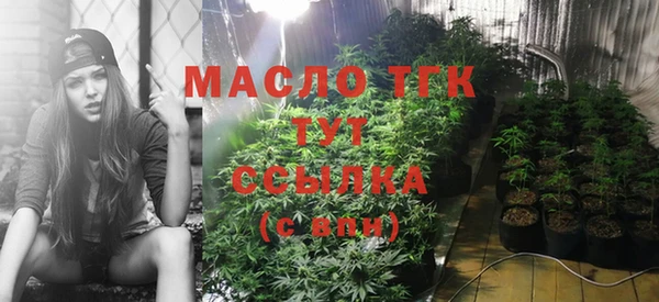 прущие грибы Беломорск