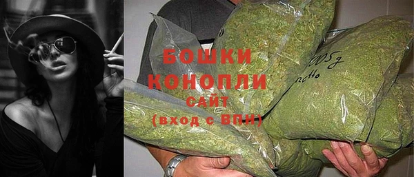 ешки Белокуриха
