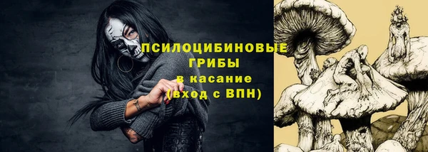 прущие грибы Беломорск