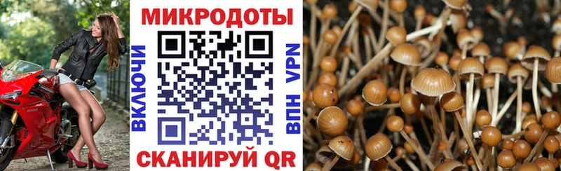 Псилоцибиновые грибы Magic Shrooms  ОМГ ОМГ зеркало  Володарск 